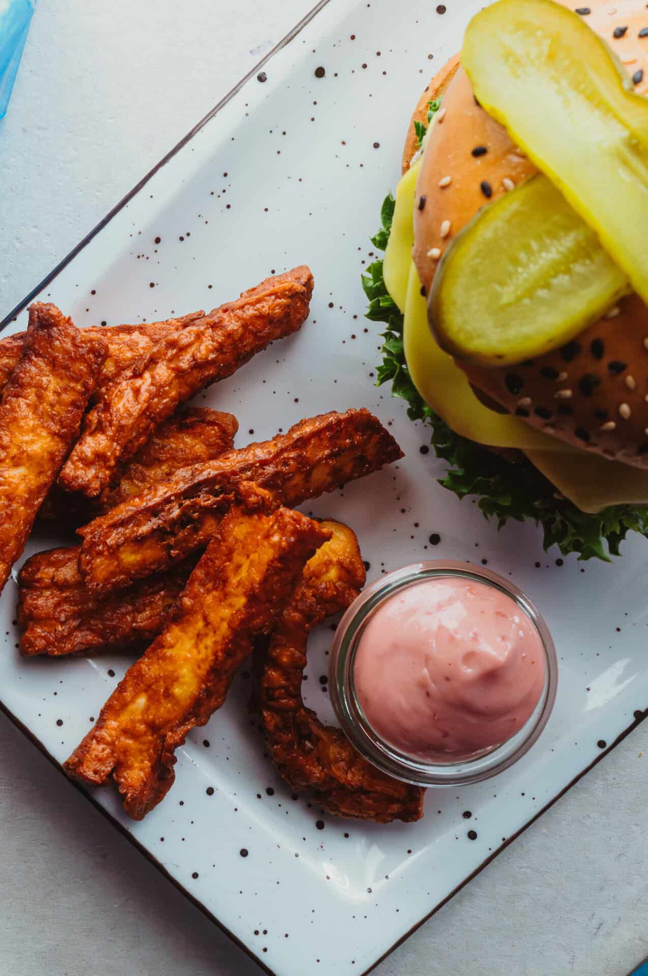 Burger with fries and homemade dip
