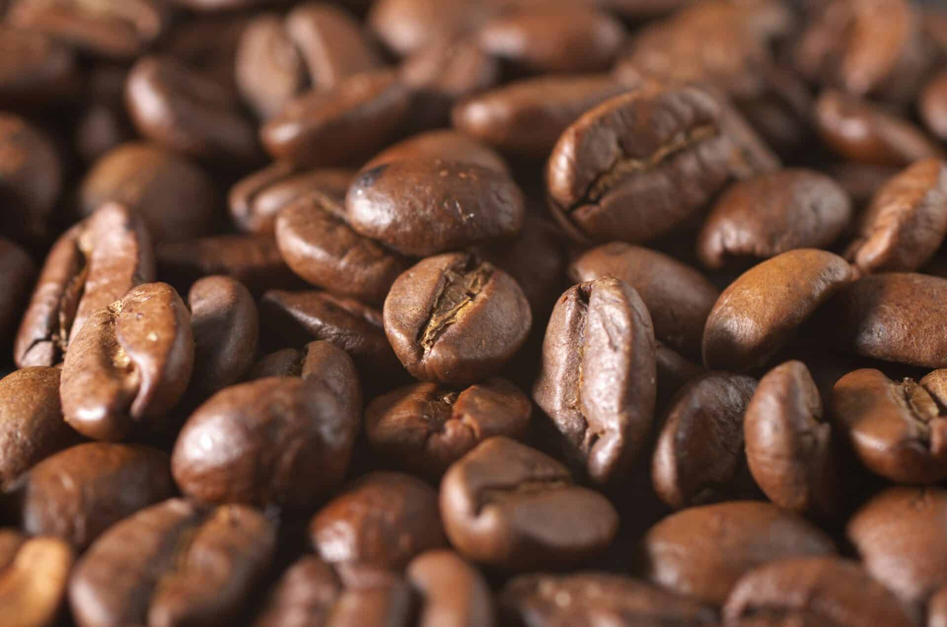 Close-up of roasted coffee beans at Bungalow 7 restaurant and lounge.